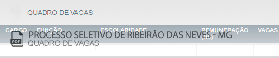 Vagas Concurso Público Ribeirão das Neves (PDF)