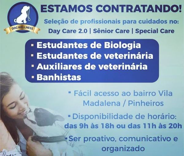 Seleção para cuidados pet care – São Paulo/SP