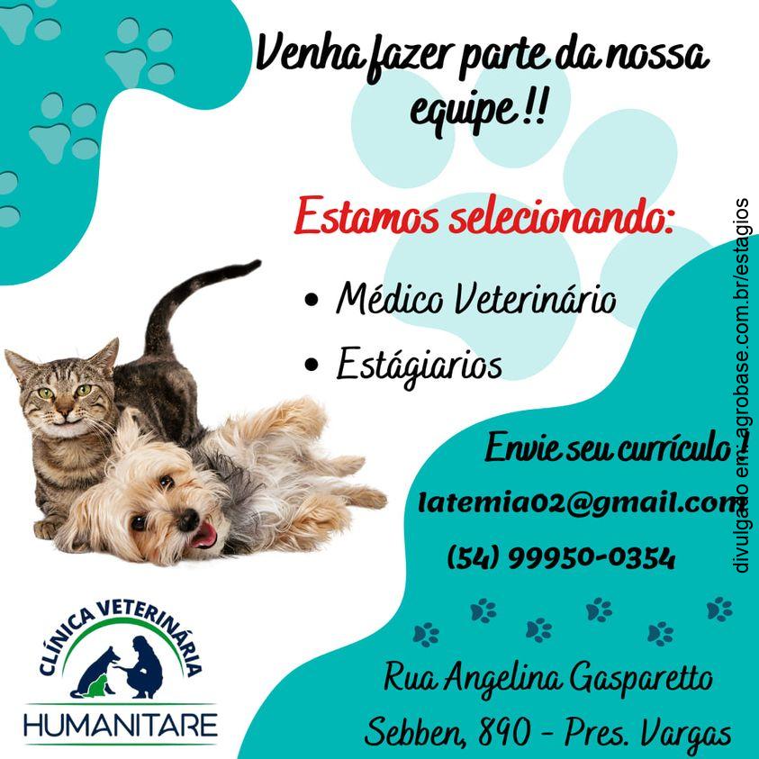 Estágio em medicina veterinária – Caxias do Sul/RS