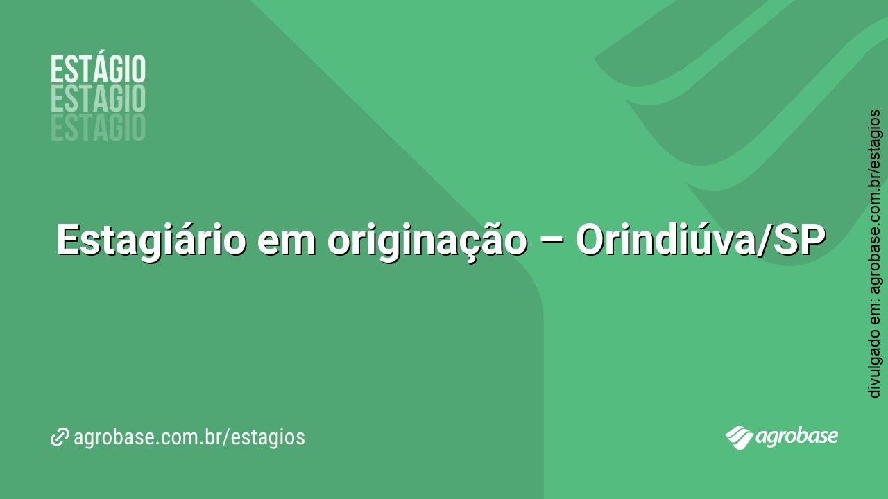 Estagiário em originação – Orindiúva/SP