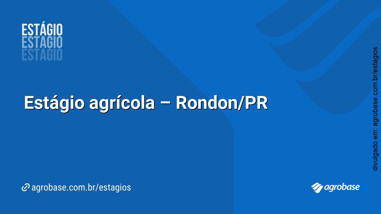 Estágio agrícola – Rondon/PR