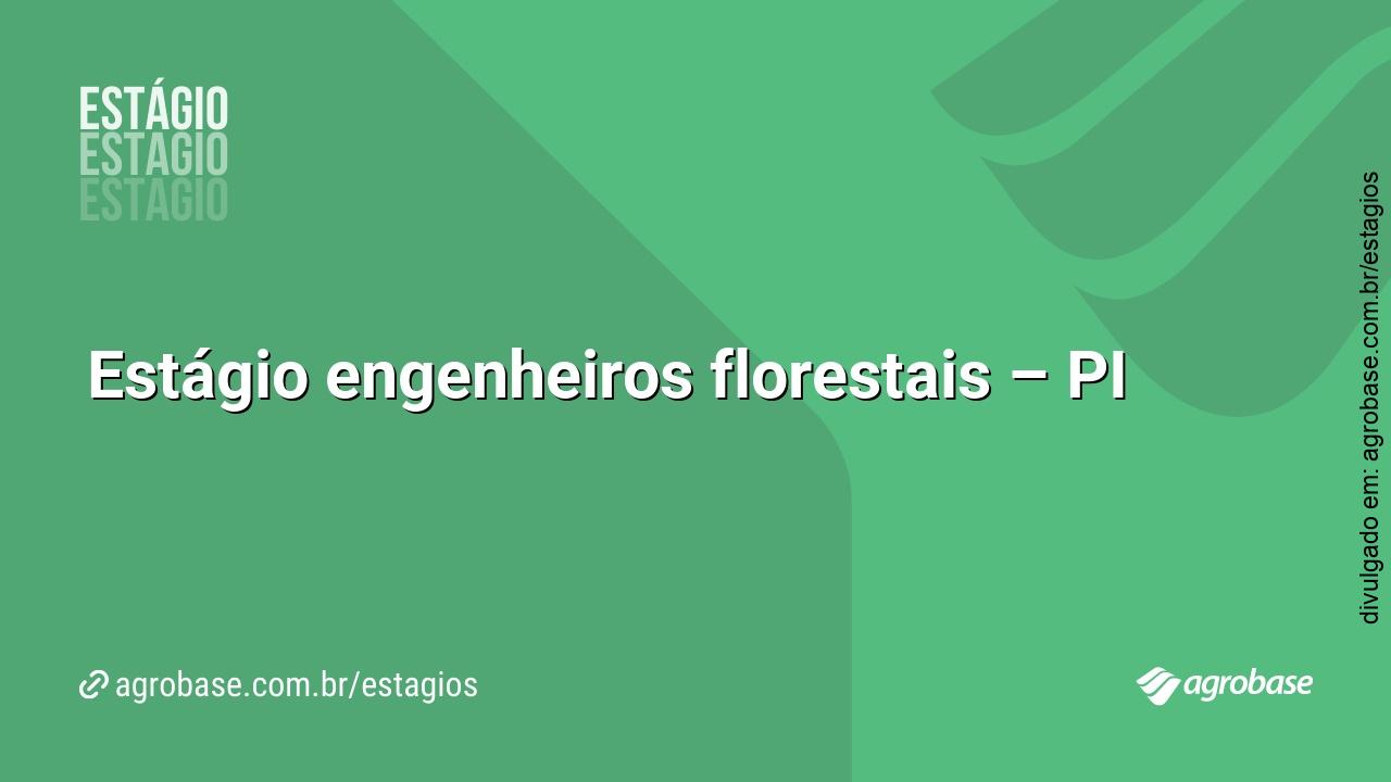Estágio engenheiros florestais – PI