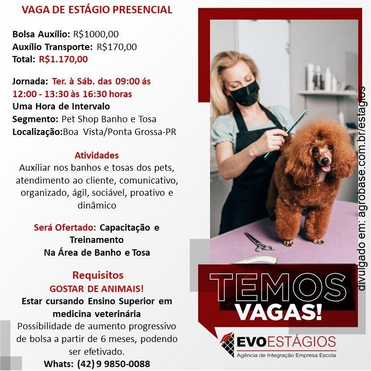 Estágio médico veterinário – Ponta Grossa/PR