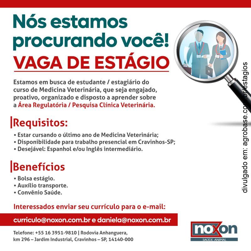 Estágio no time de regulatórios | pesquisa clínica veterinária – Cravinhos/SP