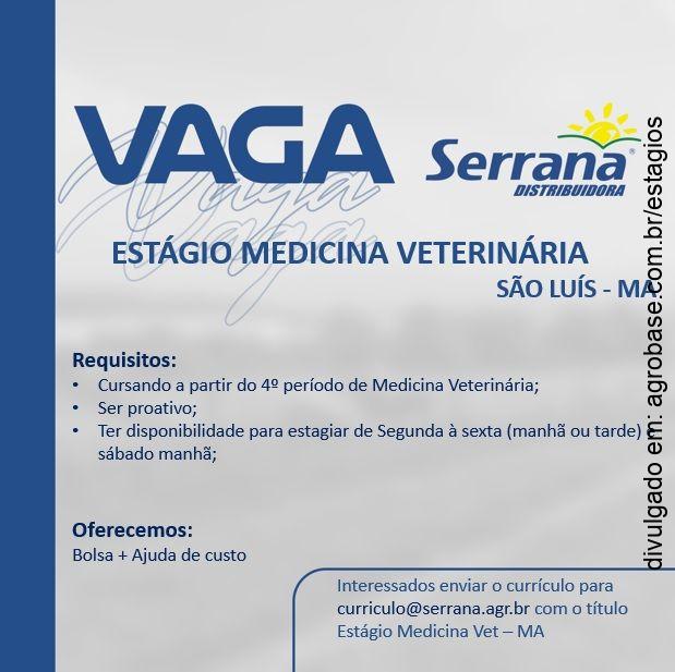 Estágio em medicina veterinária – São Luís/MA