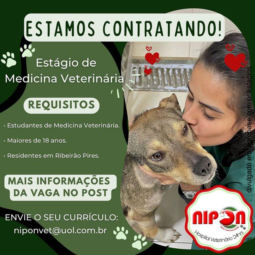 Estágio em medicina veterinária – Ribeirão Pires/SP