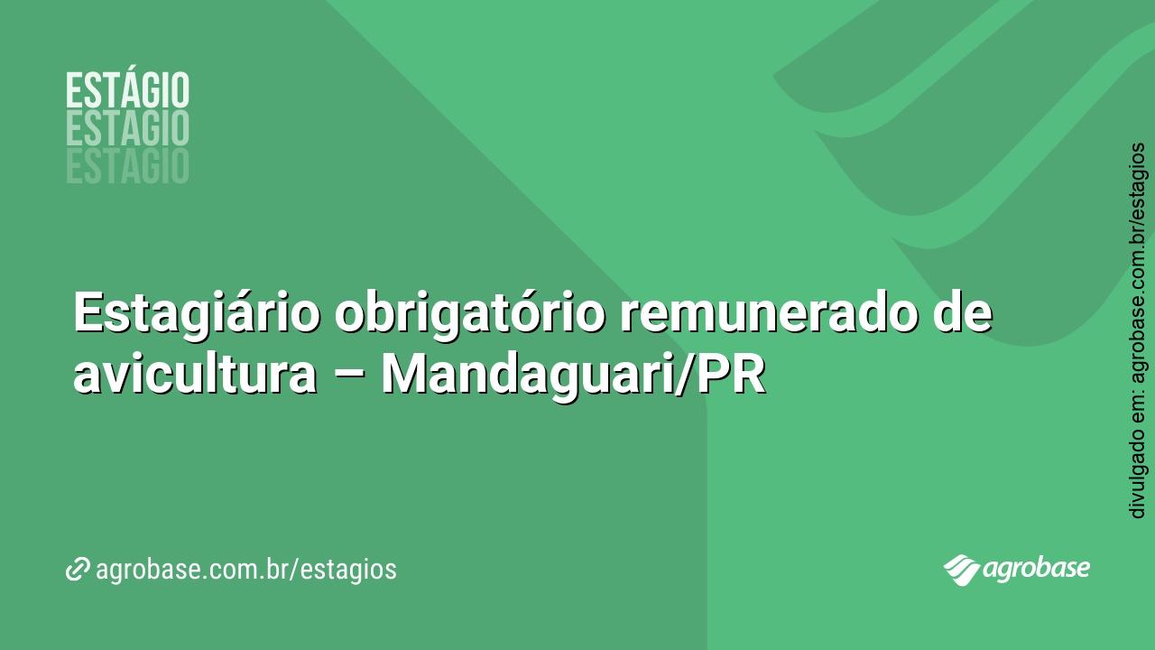 Estagiário obrigatório remunerado de avicultura – Mandaguari/PR