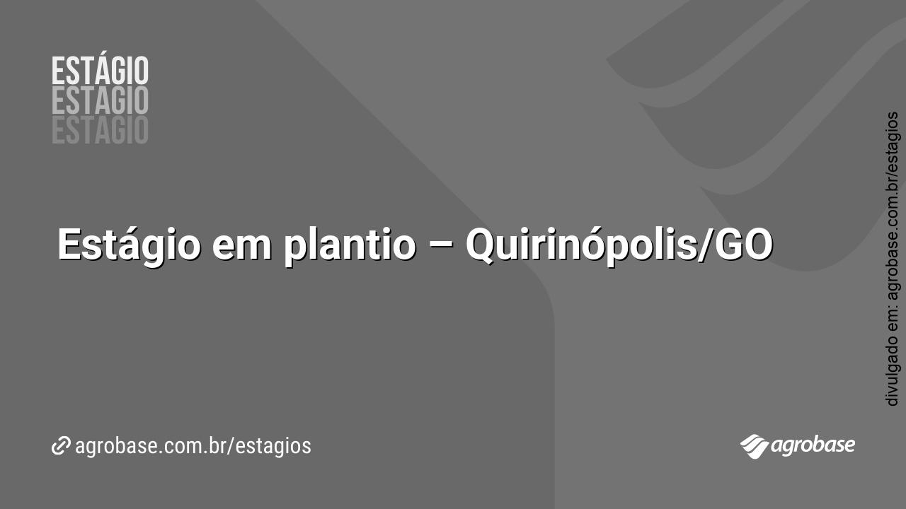 Estágio em plantio – Quirinópolis/GO