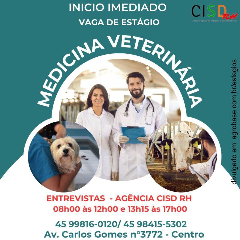 Estágio em medicina veterinária – PR