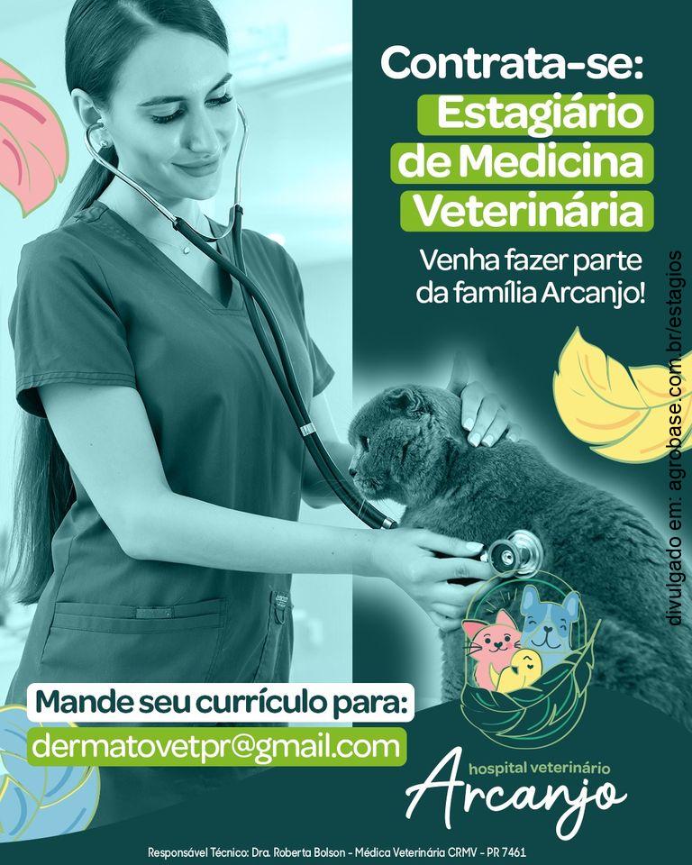 Estagiário em medicina veterinária – Pato Branco/PR