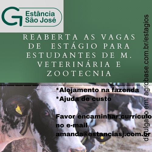 Estágio para estudantes de veterinária e zootecnia – Avaré/SP