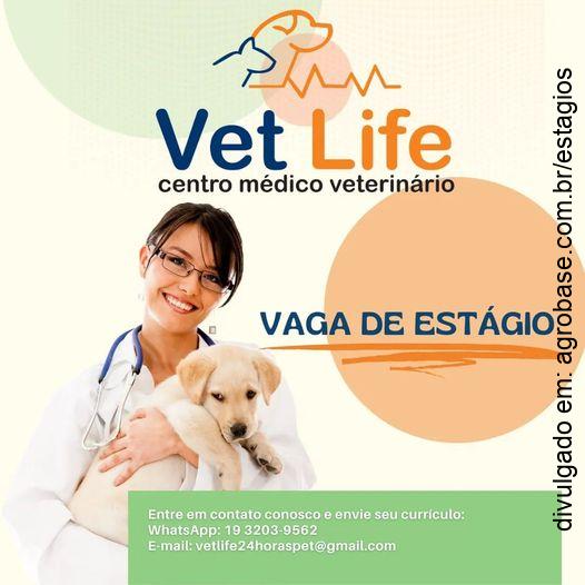 Estágio setor de clínica médica de pequenos animais – Campinas/SP