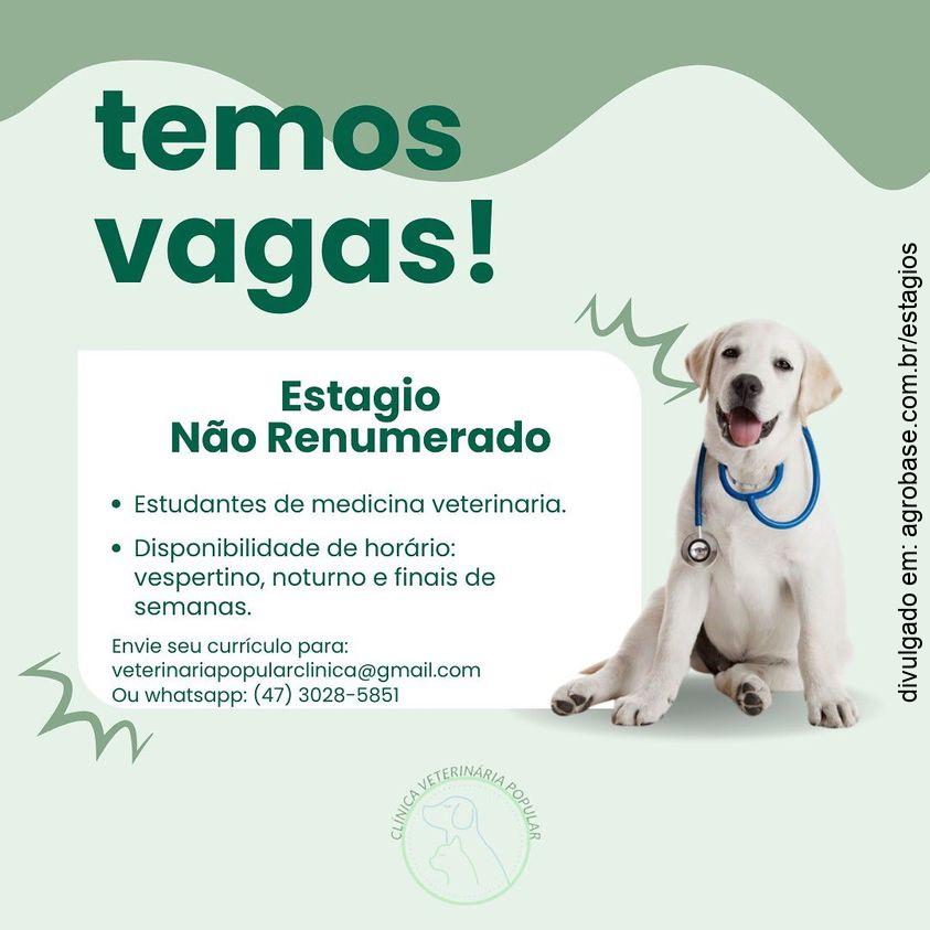 Estágio em medicina veterinária – Joinville/SC