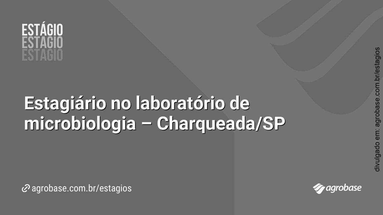 Estagiário no laboratório de microbiologia – Charqueada/SP