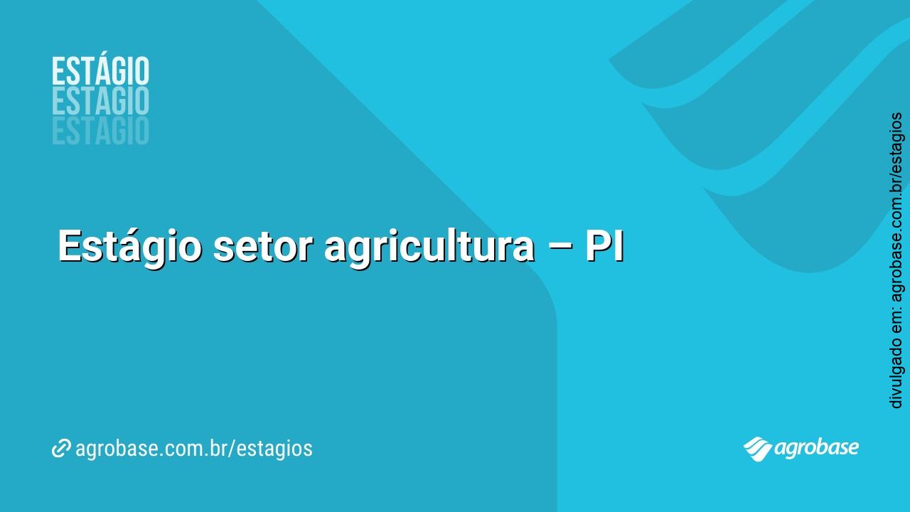 Estágio setor agricultura – PI