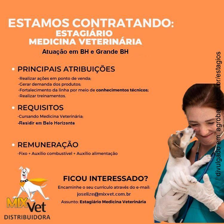 Estagiário medicina veterinária – Belo Horizonte/MG e região