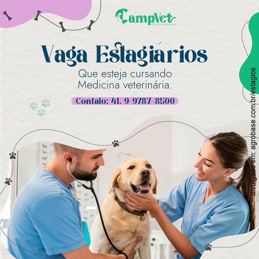 Estágio em medicina veterinária – Campo Largo/PR