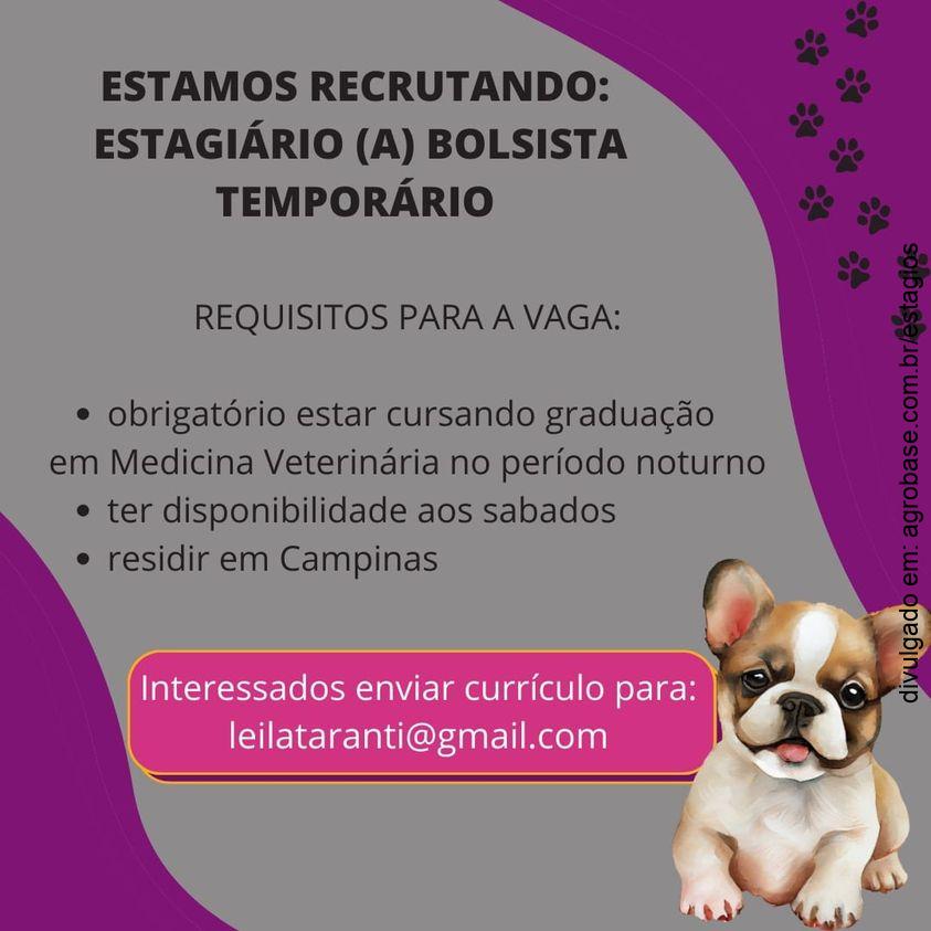 Estagiário veterinário bolsista temporário – Campinas/SP