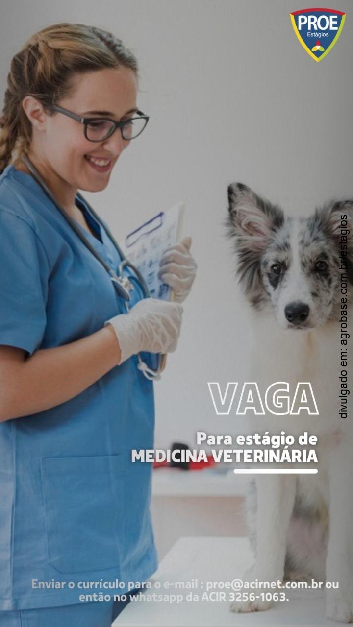 Estágio em medicina veterinária – Rolândia/PR