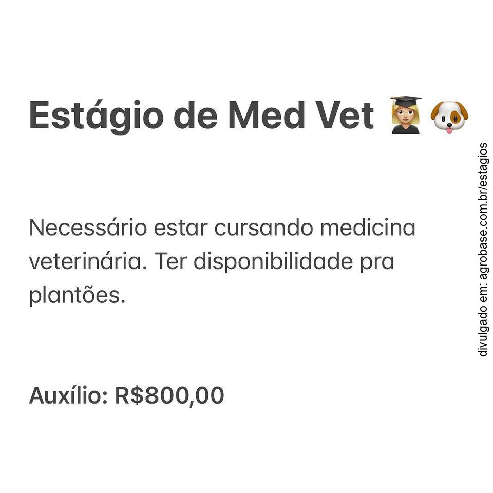 Estágio medicina veterinária – Caxias do Sul/RS