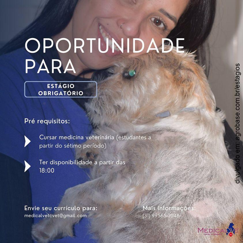 Estágio obrigatório em medicina veterinária – Belo Horizonte/MG