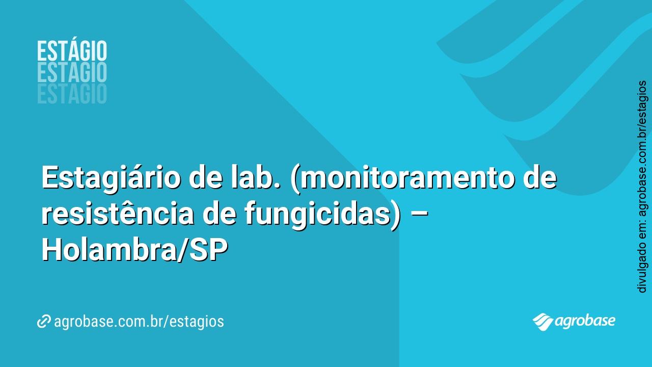 Estagiário de lab. (monitoramento de resistência de fungicidas) – Holambra/SP