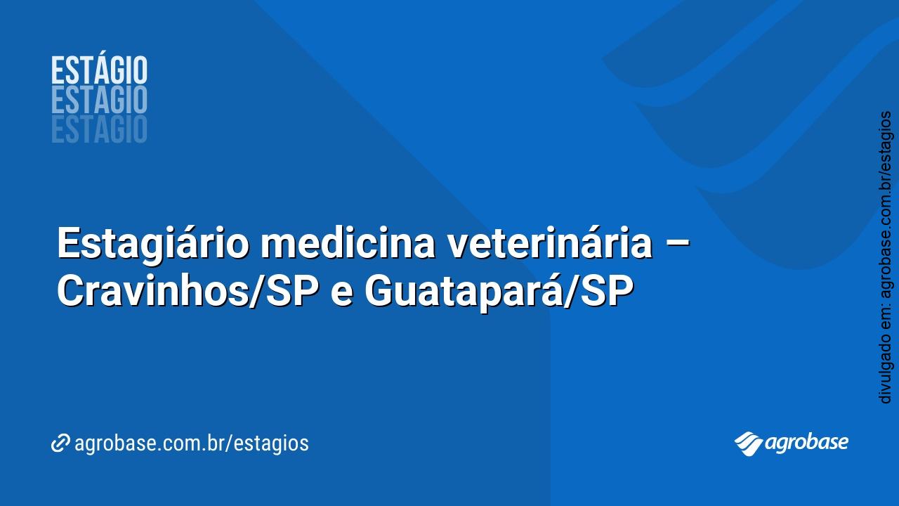 Estagiário medicina veterinária – Cravinhos/SP e Guatapará/SP