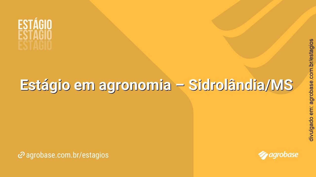 Estágio em agronomia – Sidrolândia/MS