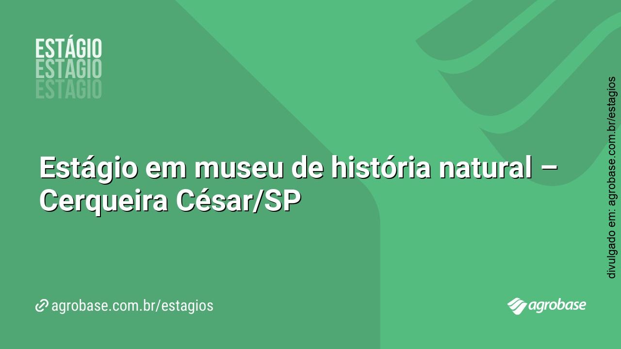 Estágio em museu de história natural – Cerqueira César/SP