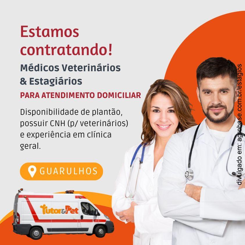 Estágio em medicina veterinária – Guarulhos/SP