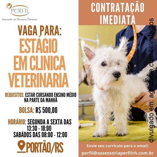 Estágio em clínica veterinária – Portão/RS