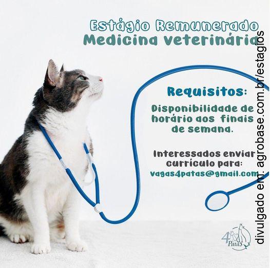 Estágio remunerado em med. veterinária – Joinville/SC