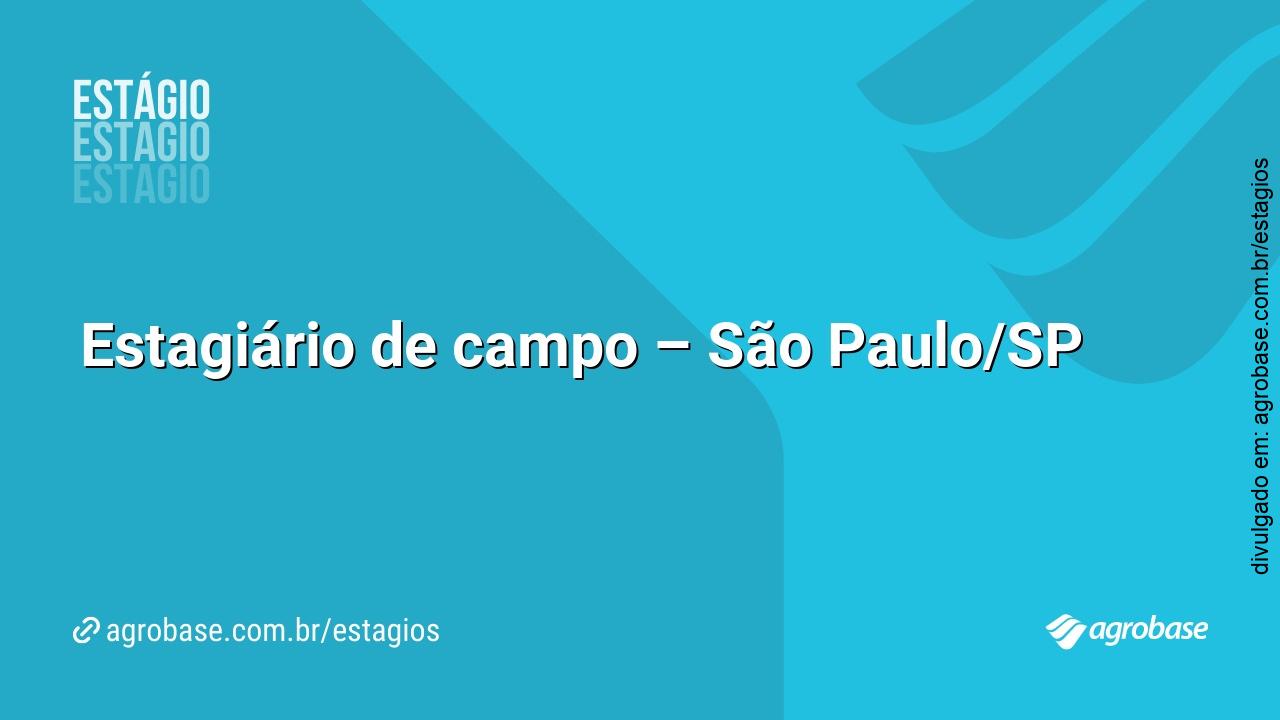 Estagiário de campo – São Paulo/SP