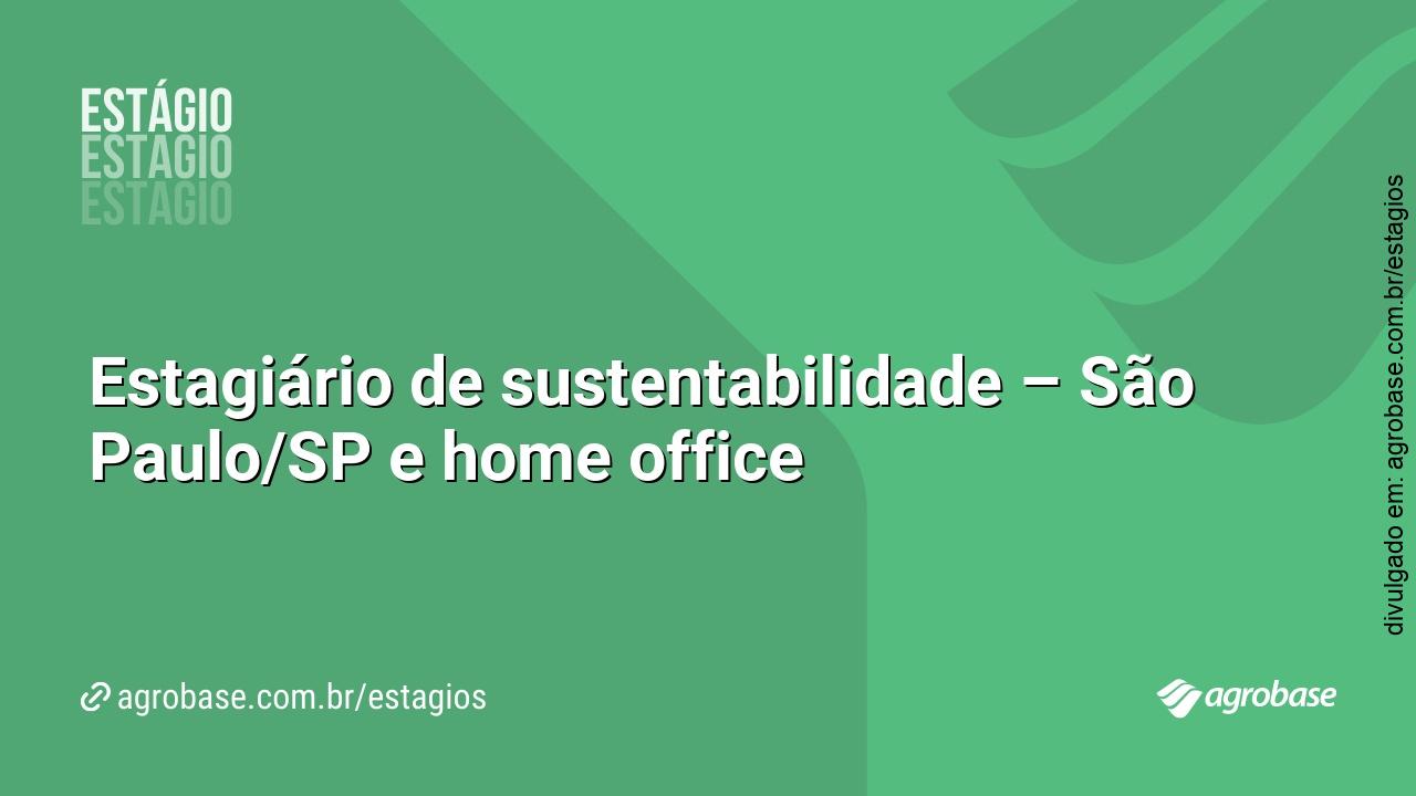 Estagiário de sustentabilidade – São Paulo/SP e home office