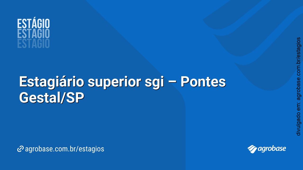 Estagiário superior sgi – Pontes Gestal/SP