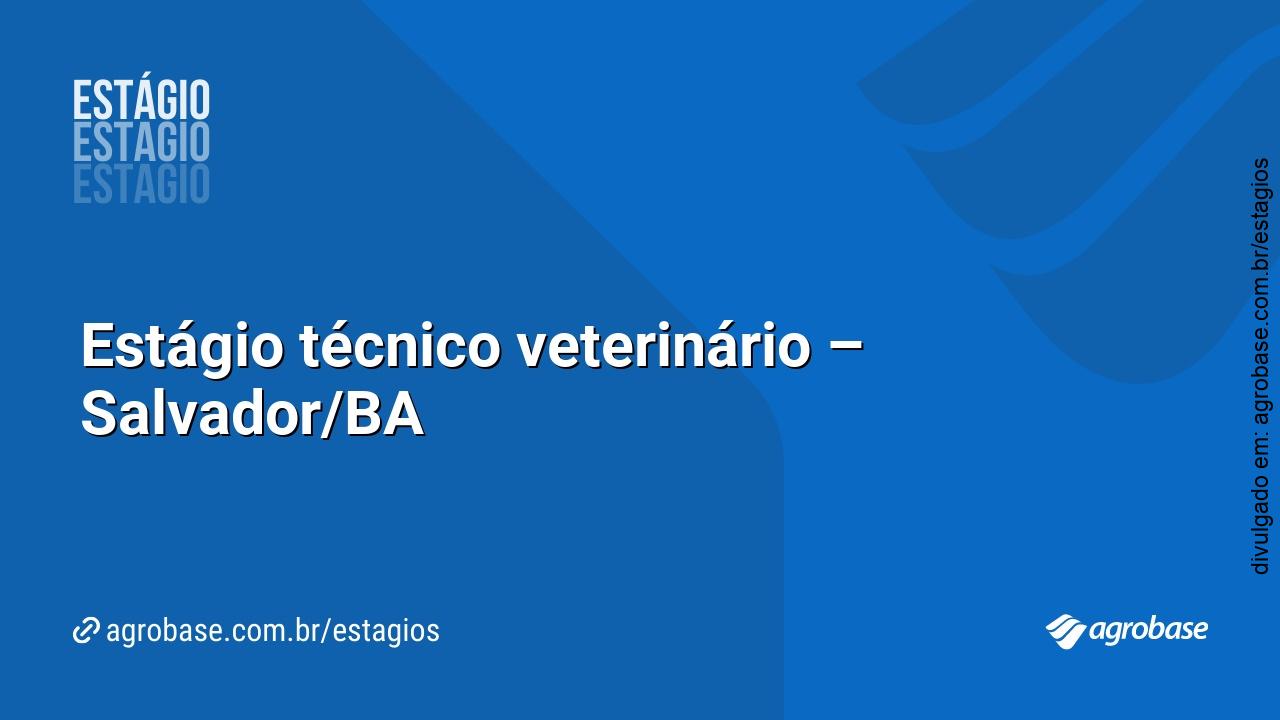 Estágio técnico veterinário – Salvador/BA
