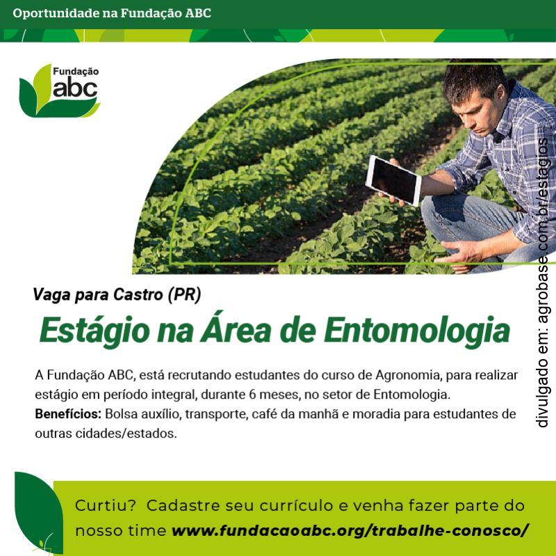 Estágio na área de entomologia – Castro/PR