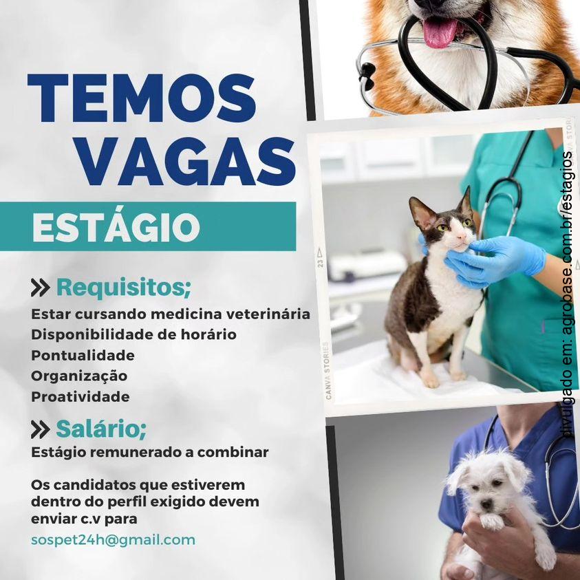 Estágio em medicina veterinária – São Francisco de Assis/RS