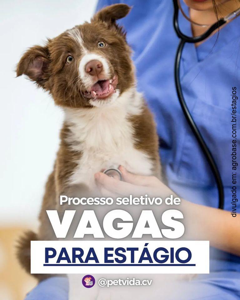 Estágio em medicina veterinária – Barreiras/BA