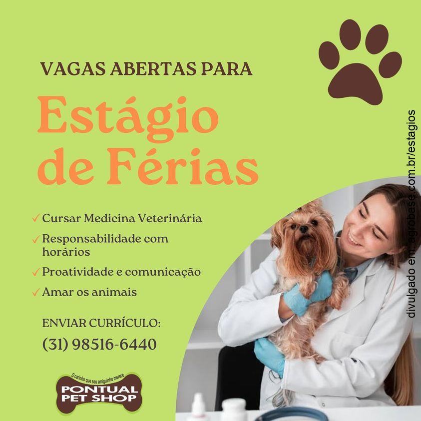 Estágio de férias em med. veterinário – Viçosa/SP