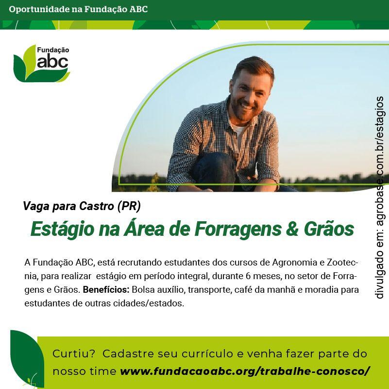 Estágio na área de forragens e grãos – Castro/PR
