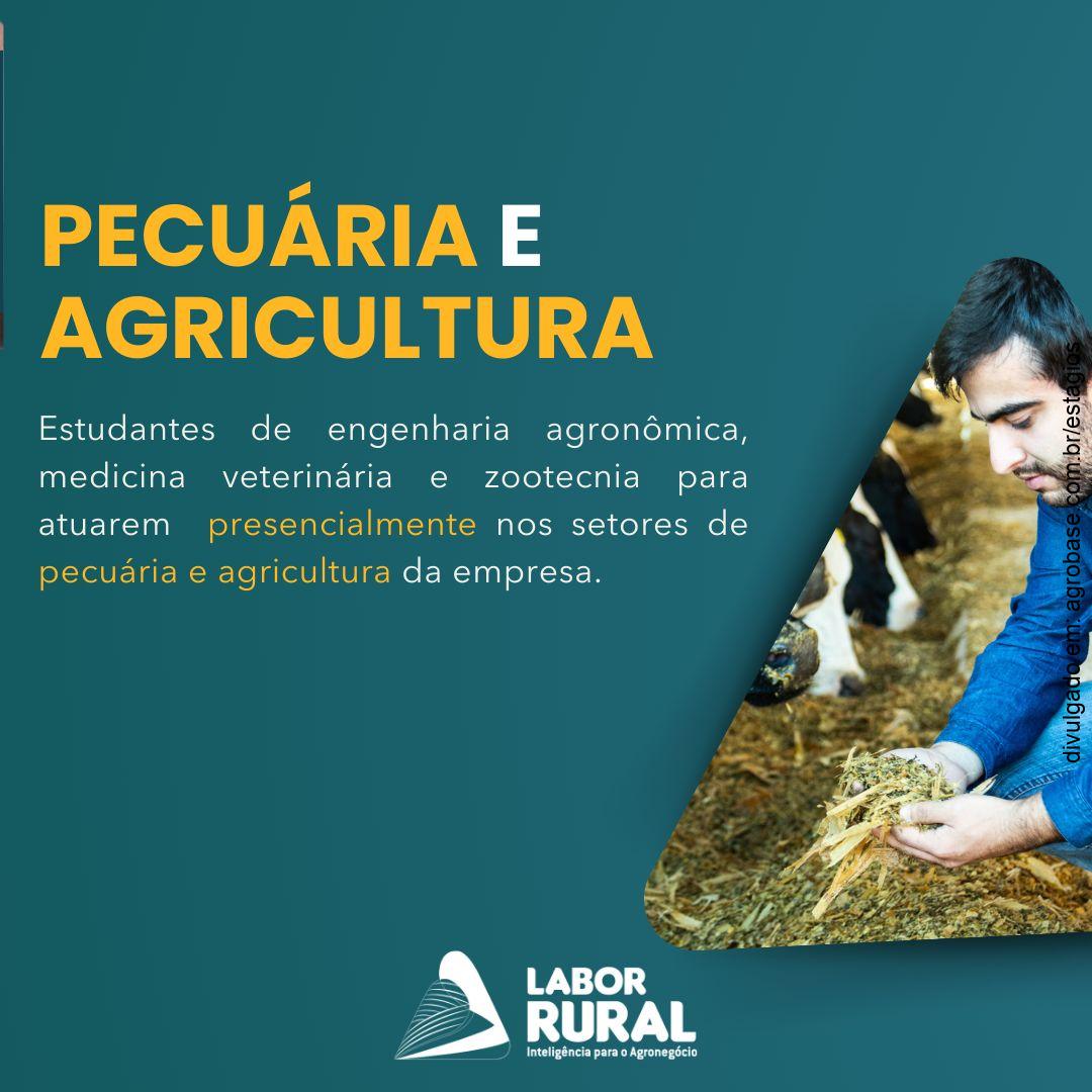 Estágio em pecuária e agricultura – Viçosa/MG