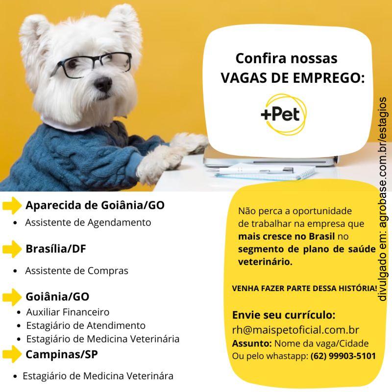 Estagiário de medicina veterinária – Campinas/SP
