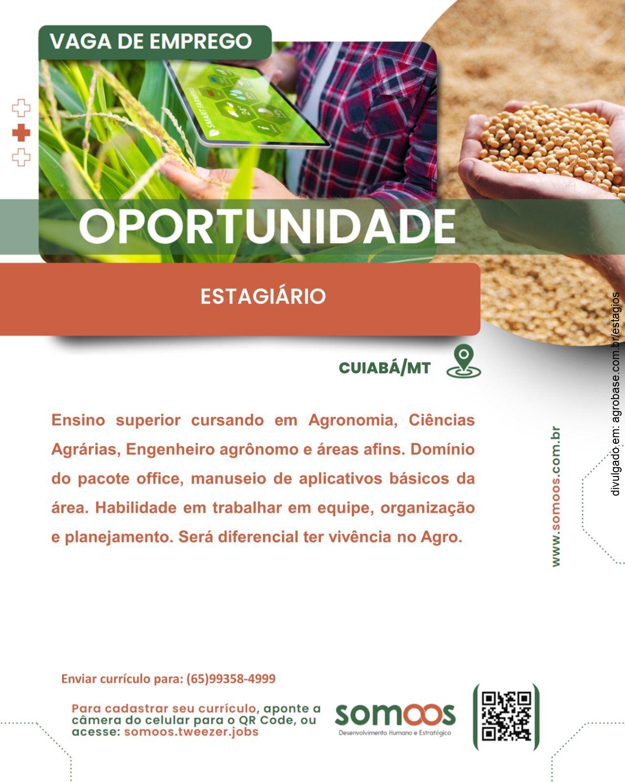Estagiário agronomia – Cuiabá/MT
