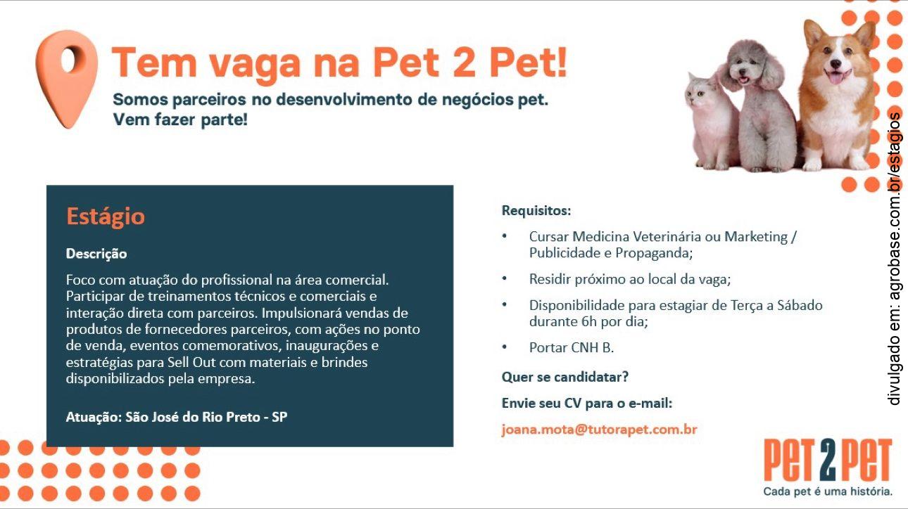 Estágio medicina veterinária – São José do Rio Preto/SP