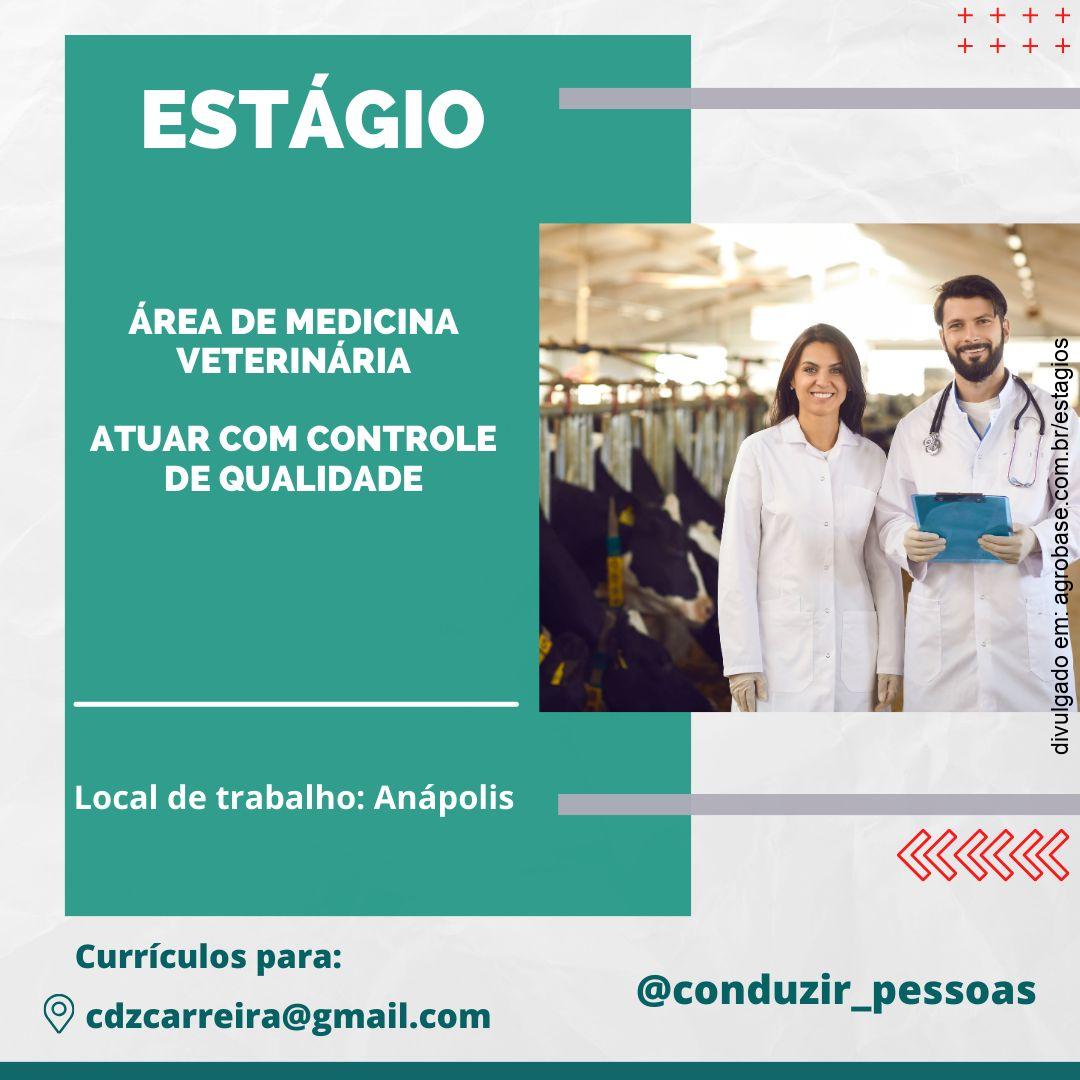 Médico veterinário – Anápolis/GO