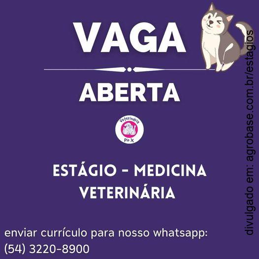 Estágio med. veterinária – Caxias do Sul/RS