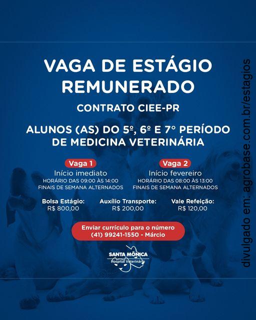 Estágio remunerado med. veterinária – Curitiba/PR