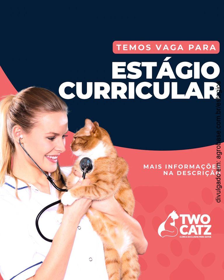 Estágio curricular medicina veterinária – Foz do Iguaçu/PR