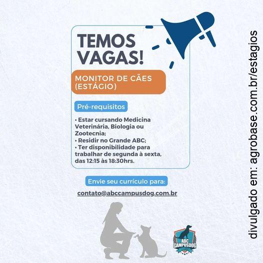 Estágio monitoria de cães – São Caetano do Sul/SP